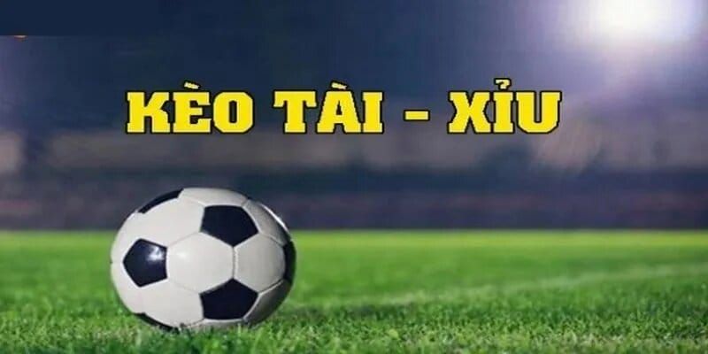 Tài Xỉu xuất hiện rất nhiều trong các bộ môn thể thao